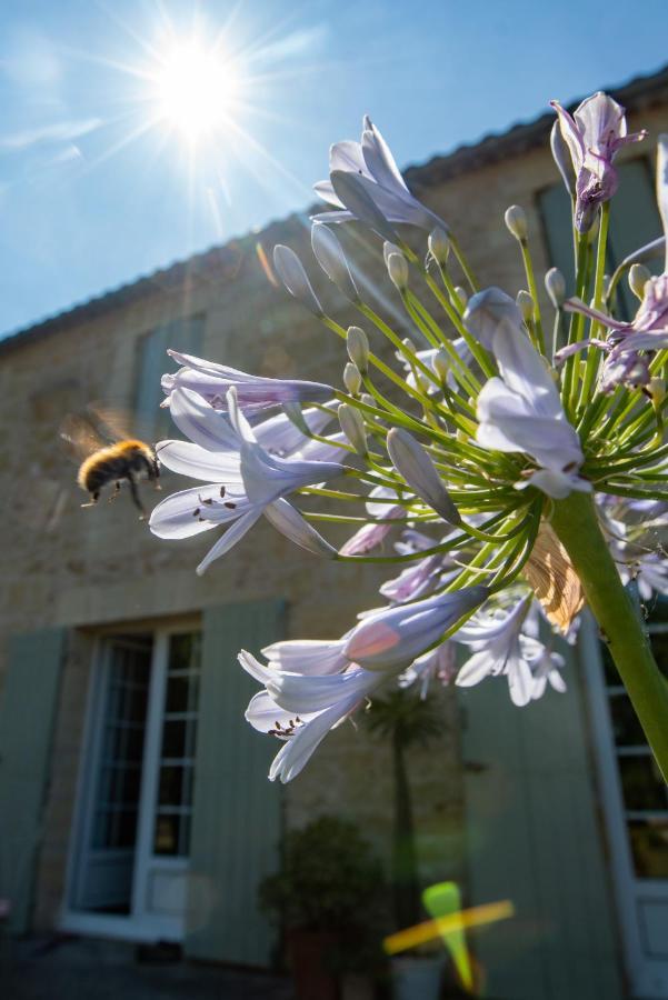 Gite Entre Bordeaux Et Saint-Emilion Genissac Екстер'єр фото